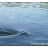 Edersee2011_2008