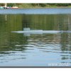 Edersee2011_2034