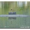 Edersee2011_2035