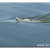 Edersee2011_2037