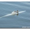 Edersee2011_2038