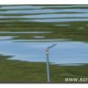 Edersee2011_2039