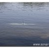 edersee2011_005