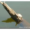 edersee2011_036