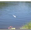 edersee2011_054