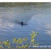 edersee2011_056