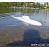 edersee2011_058