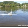 edersee2011_060