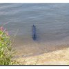 edersee2011_070