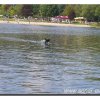 edersee2011_072