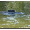 edersee2011_073