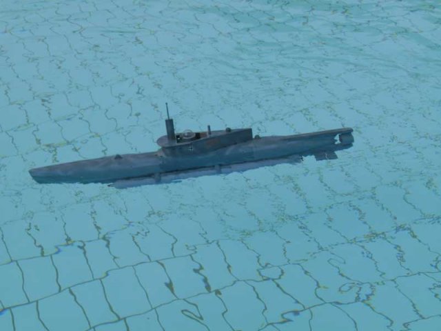 Feuchtasia38