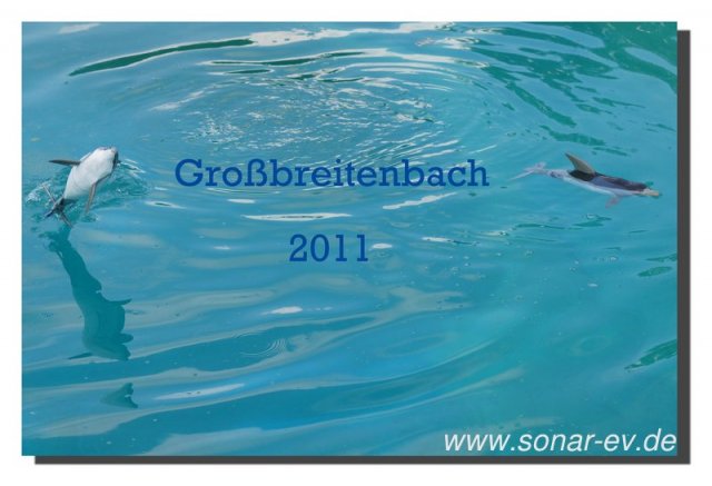 Grossbreitenbach2011_1046