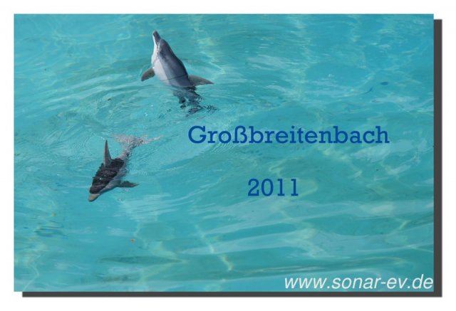 Grossbreitenbach2011_1048
