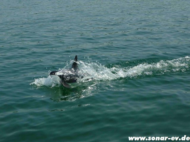 Biblis2012_127