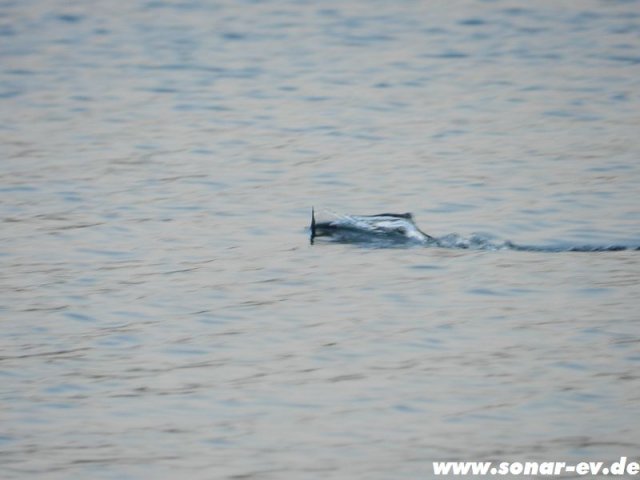 Biblis2012_63