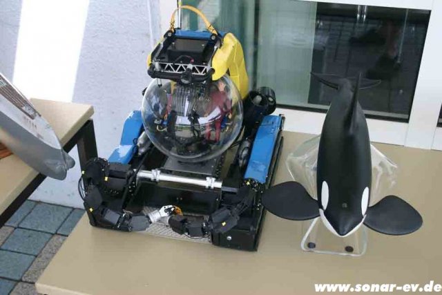 Biblis2012_84