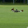 Friedrichroda_2012_8
