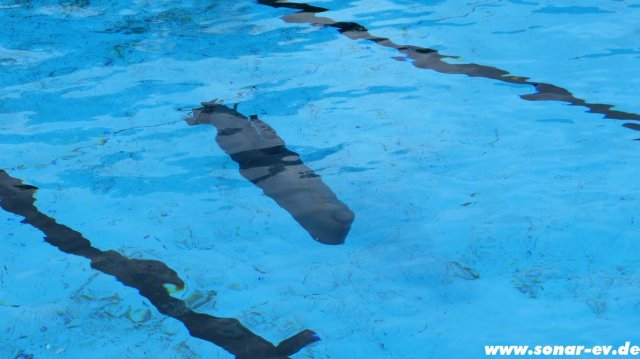 KL2012_113