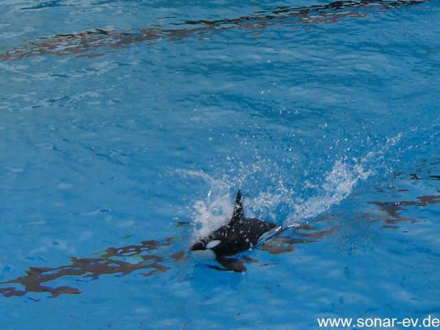kl2012_41