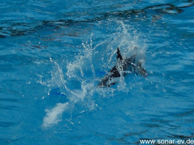 kl2012_42
