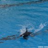 kl2012_41
