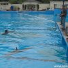 kl2012_50