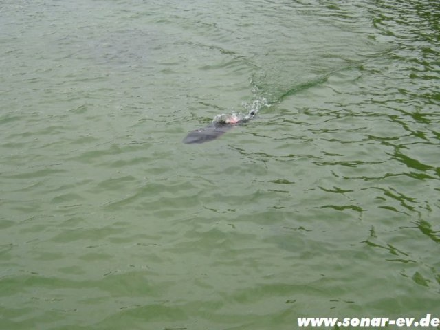 Mol_062012_78