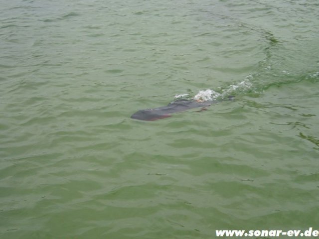 Mol_062012_79