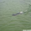 Mol_062012_79