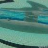GOPR0218