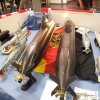 Messe Dortmund 2014