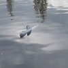20150501_124117
