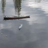 20150501_124249