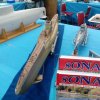 img_20150419_080219