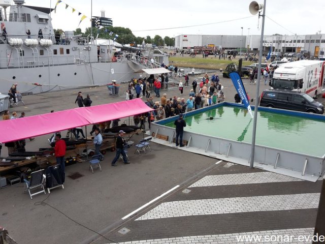 DenHelder(11)