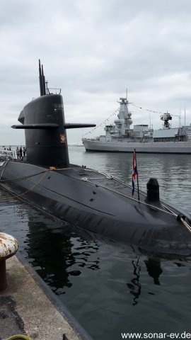 DenHelder(12)