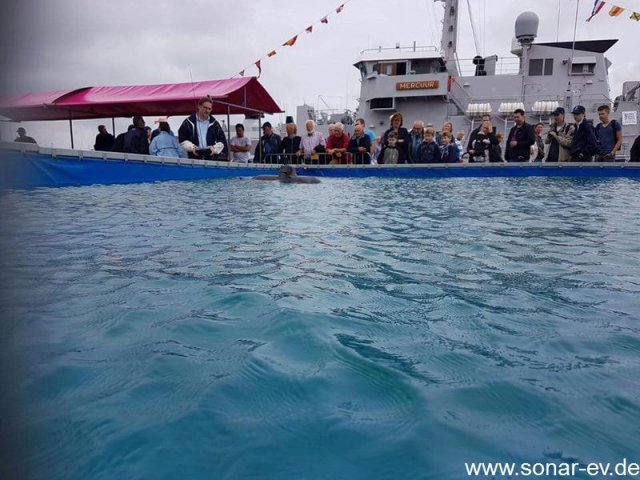 DenHelder(15)