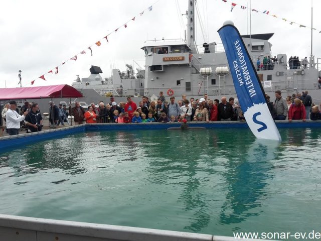 DenHelder(8)