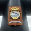 DenHelder(10)