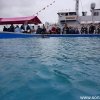 DenHelder(15)