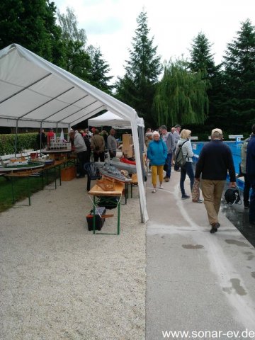 Froda_2017(41)