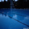 Froda_2017(106)