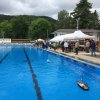 Froda_2017(108)