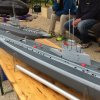 Froda_2017(109)