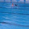 Froda_2017(23)