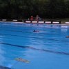 Froda_2017(24)