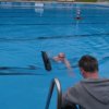 Froda_2017(26)