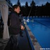 Froda_2017(36)