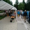 Froda_2017(41)